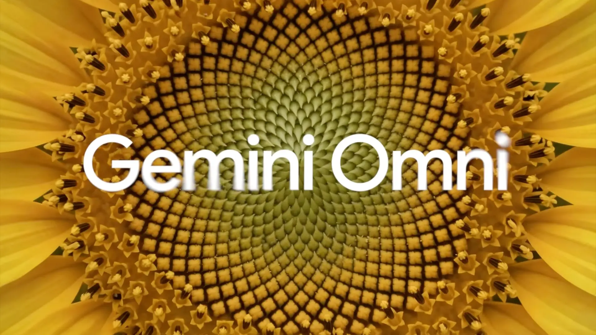 Gemini Omni: La revolución de Google en la creación de vídeos mediante Inteligencia Artificial